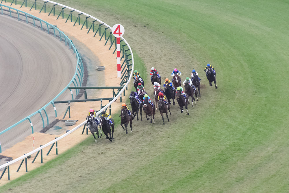 2019年有馬記念 photo by JRA