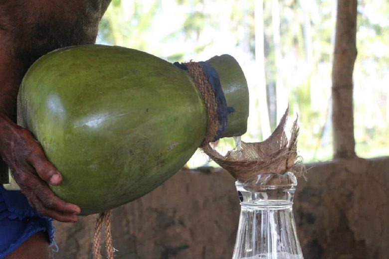 2000年の歴史を誇るスリランカ原産のココナッツ酒が<br>今最もトレンディな理由