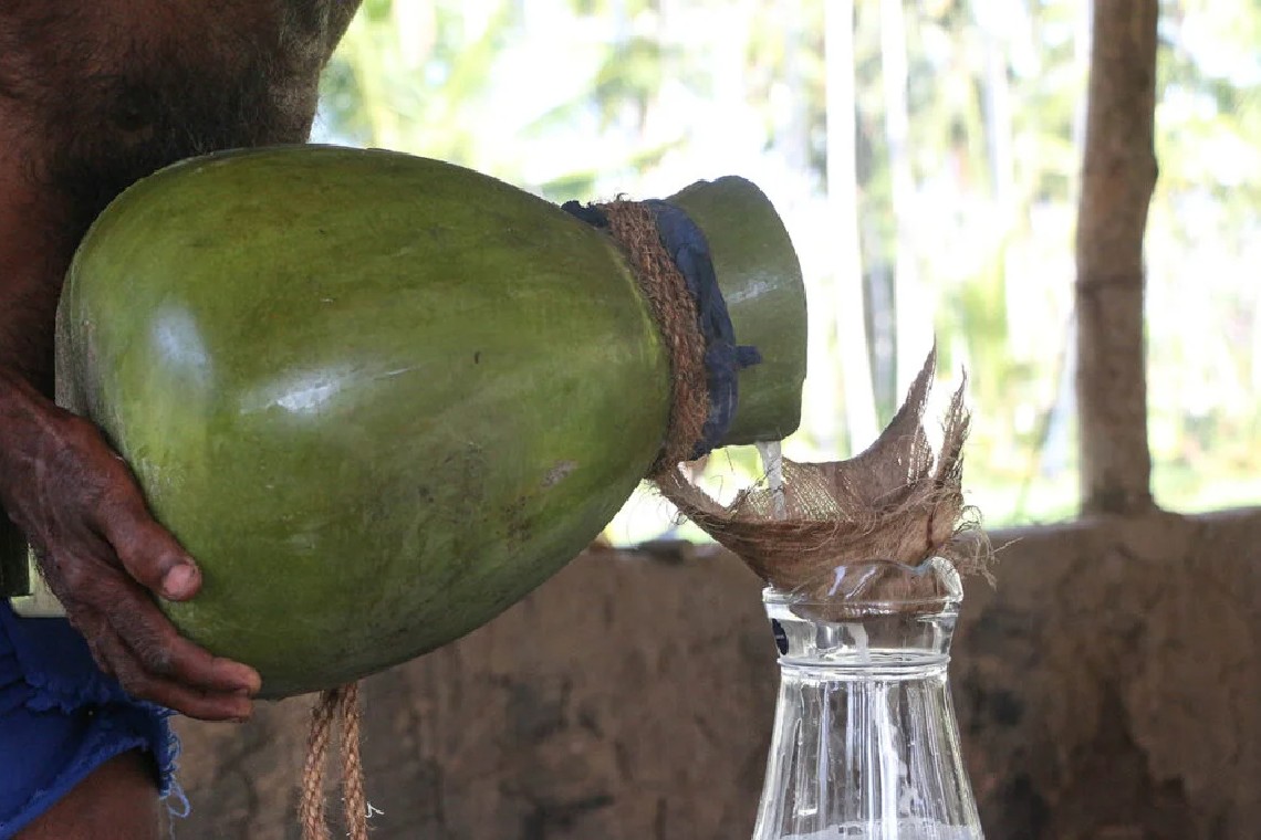 00年の歴史を誇るスリランカ原産のココナッツ酒が今最もトレンディな理由 Cheer Up 毎日のワクワクした暮らしを応援するポータルメディア