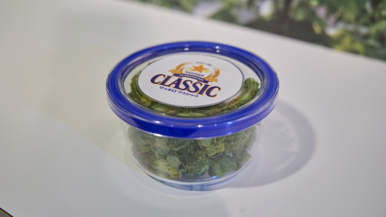 サッポロ クラシック☆40th anniversaryツアー