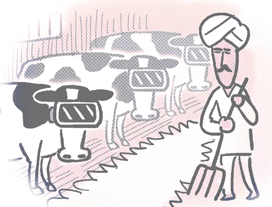 雑賀建郎(さいが けんろう)