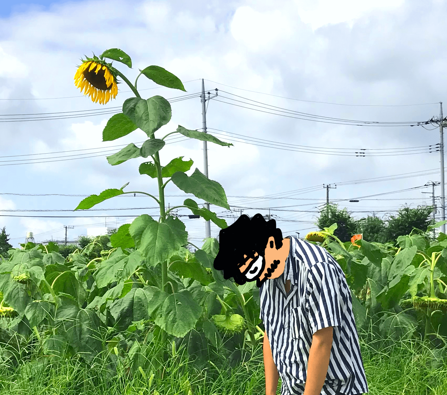 お酒好きのふとした日常